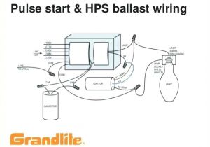 High Pressure sodium Ballast Wiring Diagram Hps Wiring Diagram Wiring Diagram Technic
