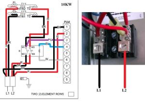 Hkr 10c Wiring Diagram Goodman Heat Strip Wiring Diagram Wiring Diagram Autovehicle