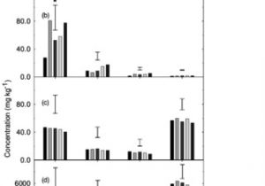 Hobart Hcm 450 Wiring Diagram Pdf Growth and Elemental Accumulation by Canola On soil Hobart Hcm 450 Wiring Diagram Pdf Growth and Elemental Accumulation by Canola On soil