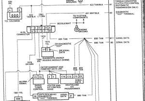 Holley 554 111 Wiring Diagram 28 Holley Hp Efi Wiring Diagram Wire Diagram source