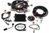 Holley Hp Efi Ls1 Wiring Diagram Gm Efi Wiring Harness Wiring Diagram Centre