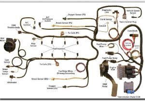 Holley Hp Efi Ls1 Wiring Diagram Ls3 Engine Wiring Diagram Wiring Diagram Split Holley Hp Efi Ls1 Wiring Diagram Ls3 Engine Wiring Diagram Wiring Diagram Split