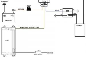 Holley Hp Efi Wiring Diagram Holley Bump Box Questions Yellow Bullet forums Holley Hp Efi Wiring Diagram Holley Bump Box Questions Yellow Bullet forums