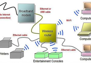 Home Wired Network Diagram Network Diagram Layouts Home Network Diagrams