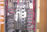 Homeline 100 Amp Sub Panel Wiring Diagram Vz 6004 Volt Breaker Wiring Diagram On to Homeline Load