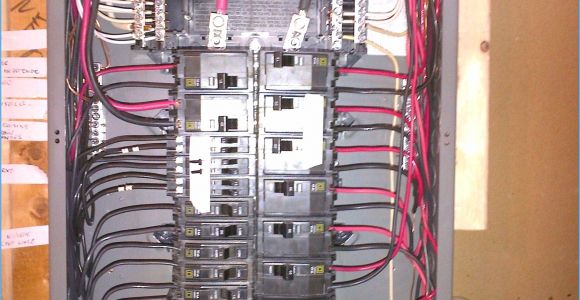Homeline 100 Amp Sub Panel Wiring Diagram Vz 6004 Volt Breaker Wiring Diagram On to Homeline Load