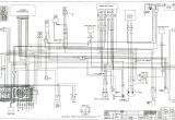 Honda 400ex Wiring Diagram 400ex Wiring Diagram Malochicolove Com