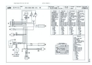 Honda 400ex Wiring Diagram 400ex Wiring Diagram Malochicolove Com