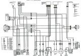 Honda Big Red 300 Wiring Diagram Honda Ls 125 Wiring Diagram Wiring Diagrams Mark