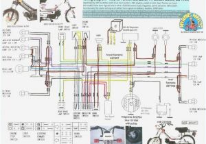 Honda C70 Cdi Wiring Diagram Wiring Diagram Honda Wave 100 Wiring Diagram Show