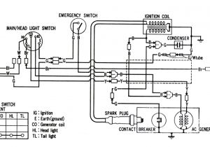 Honda C90 Wiring Diagram Honda C70 Wiring Problems Wiring Diagram Img