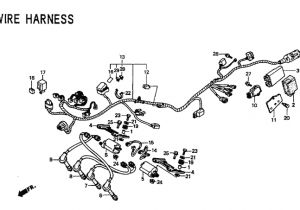Honda Cbr 600 F2 Wiring Diagram Cbr F4i Wiring Diagram Wiring Diagram Centre Honda Cbr 600 F2 Wiring Diagram Cbr F4i Wiring Diagram Wiring Diagram Centre