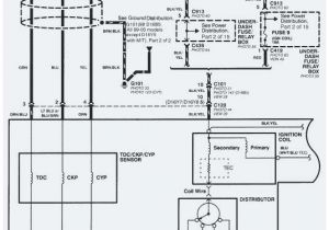 Honda Distributor Wiring Diagram 1999 Honda Civic Ignition Wiring Diagram Wiring Diagram Expert Honda Distributor Wiring Diagram 1999 Honda Civic Ignition Wiring Diagram Wiring Diagram Expert