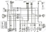 Honda Fourtrax 250 Wiring Diagram Honda 300 Wiring Diagram Blog Wiring Diagram