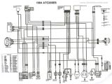 Honda Fourtrax 250 Wiring Diagram Honda 300 Wiring Diagram Blog Wiring Diagram