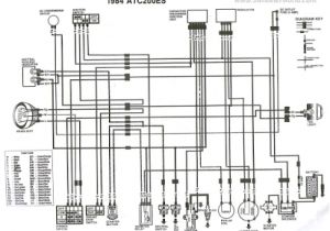 Honda Fourtrax 250 Wiring Diagram Honda 300 Wiring Diagram Blog Wiring Diagram Honda Fourtrax 250 Wiring Diagram Honda 300 Wiring Diagram Blog Wiring Diagram