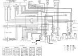 Honda Fourtrax 250 Wiring Diagram Honda 300 Wiring Diagram Blog Wiring Diagram