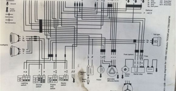 Honda Fourtrax 250 Wiring Diagram Honda 300 Wiring Diagram Blog Wiring Diagram