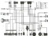 Honda Fourtrax 300 Wiring Diagram About Honda Trx200ex Msd Ignition System and Schematics Diagram