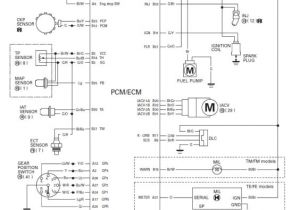 Honda Rancher 420 Wiring Diagram Pioneer Honda Wiring Diagram Gain Repeat17 Klictravel Nl