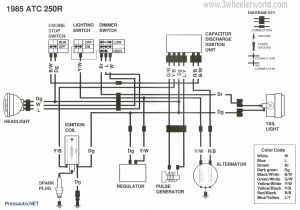 Honda Ruckus Ignition Wiring Diagram Honda Chf50 Wiring Diagram Wiring Diagrams