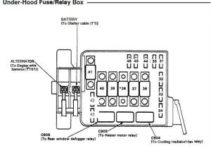 Honda Ruckus Ignition Wiring Diagram Honda Ruckus Fuse Box Wiring Diagram Technic