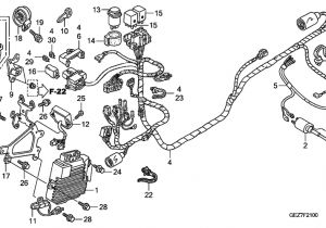Honda Ruckus Ignition Wiring Diagram Honda Ruckus Fuse Box Wiring Diagram Technic