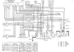 Honda Trx 350 Wiring Diagram Honda 300 Wiring Diagram Blog Wiring Diagram Honda Trx 350 Wiring Diagram Honda 300 Wiring Diagram Blog Wiring Diagram