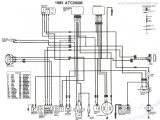 Honda Trx250r Wiring Diagram Honda 250r Wiring Diagram Wiring Diagrams