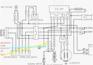 Honda Trx250r Wiring Diagram Honda atc 250r Wiring Diagram Wiring Diagram Ame Honda Trx250r Wiring Diagram Honda atc 250r Wiring Diagram Wiring Diagram Ame