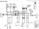 Honda Trx250r Wiring Diagram Trx250r Wiring Diagram Wiring Diagram Expert
