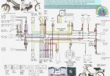 Honda Wave 100 Wiring Diagram Pdf Honda Wave 110 Wiring Wiring Diagram Expert