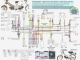 Honda Wave 100 Wiring Diagram Pdf Honda Wave 110 Wiring Wiring Diagram Expert