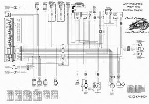 Honda Wave 100 Wiring Diagram Wiring Diagram Of Honda 125 Motorcycle Wiring Diagram Database