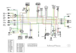 Honda Xrm 125 Wiring Diagram Honda Xrm 110 Wiring Diagram Download Wiring Diagrams Structure