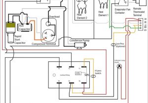 Honeywell Aquastat Relay L8148e Wiring Diagram Aquastat Wiring Diagram Wiring Diagrams Data Base Honeywell Aquastat Relay L8148e Wiring Diagram Aquastat Wiring Diagram Wiring Diagrams Data Base