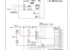Honeywell Aquastat Relay L8148e Wiring Diagram Aquastat Wiring Diagram Wiring Diagrams Data Base Honeywell Aquastat Relay L8148e Wiring Diagram Aquastat Wiring Diagram Wiring Diagrams Data Base