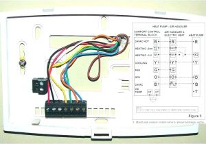 Honeywell Chronotherm Iii Wiring Diagram Honeywell thermostat Chronotherm Iii Instalex Co Honeywell Chronotherm Iii Wiring Diagram Honeywell thermostat Chronotherm Iii Instalex Co