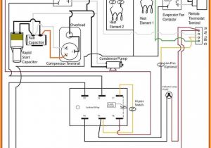 Honeywell Room Stat Wiring Diagram Honeywell Rth221b Wiring Diagram Flilpfloppinthrough Honeywell Room Stat Wiring Diagram Honeywell Rth221b Wiring Diagram Flilpfloppinthrough