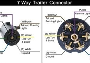 Hopkins Trailer Adapter Wiring Diagram 6 Prong Trailer Wiring Diagram Wiring Diagram and Hopkins Trailer Adapter Wiring Diagram 6 Prong Trailer Wiring Diagram Wiring Diagram and