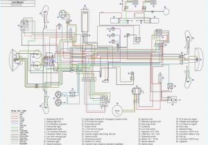 Horn Wiring Diagram Horn Wiring Diagram Inspirational Relay Wiring Ipphil Hella Bosch