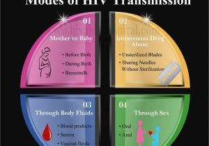 Hospital Wiring Diagram Diagram Template Powerpoint Spider Get Free Image About Wiring