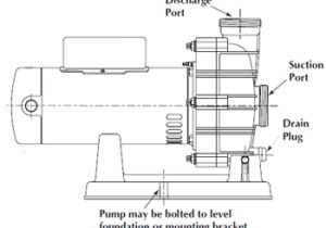 Hot Tub Pump Wiring Diagram Spa Pump Replacement Guide Poolsupplyworld Blog