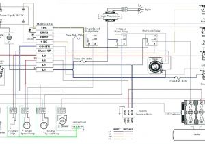 Hot Tub Wiring Diagram thermo Swim Spa Wiring Diagram Wiring Diagram Centre