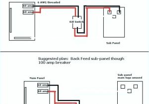 How to Wire 100 Amp Subpanel Diagram is This A or Service Entrance Cable 100 Amp Size Zaim Pro