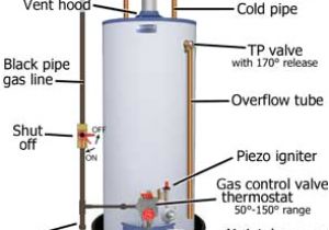 How to Wire A Hot Water Heater Diagram Basic Parts for Gas Water Heater