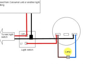How to Wire A Light Switch Uk Diagram Ceiling Light Wiring Diagram Wiring Diagram