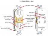 How to Wire A Plug Outlet Diagram Wiring A Plug Schematic Wiring Diagrams Show