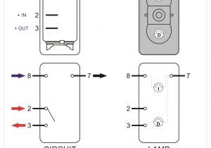 How to Wire A Rocker Switch Diagram Spdt Rocker Switch Wiring Book Diagram Schema