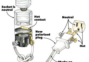 How to Wire A Spur socket Diagram Plug socket Wiring Diagram Use Wiring Diagram